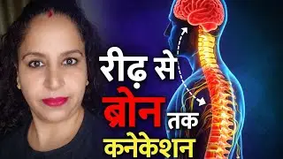 मस्तिष्क, नर्वस सिस्टम, रीढ़ की हड्डी तथा कैरोटिड व वर्टिब्रल आर्टरी की संरचना और कार्य UGC NET JRF
