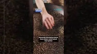 Mengulik Jejak Kopi Era VOC di Museum Multatuli, Banten