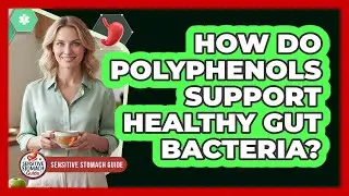 How Do Polyphenols Support Healthy Gut Bacteria?