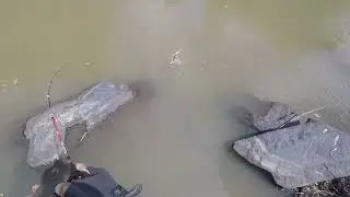 Pescaria ultra light de barraco isca raptor pega at&eacute; lambaris 