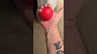 Get ripped forearms with a stress ball? improve forearm muscles, grip, and circulation, hands