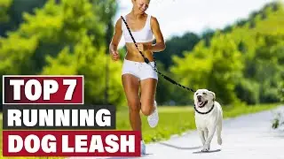7 Best Dog Leashes for Running: Top Picks for Active Dogs