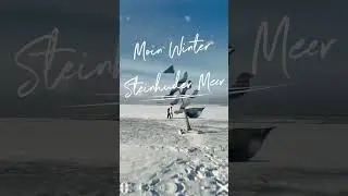 Winter Steinhuder Meer