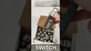 Magnetic Switch