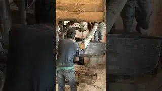 A Day with an Expert Operator Sawmill Precision Explained