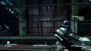 Borderlands Guide - Brick: Common Man