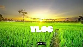 Vlog | Background Music | No Copyright | Royalty Free Music