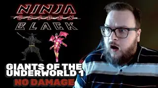Ninja Gaiden Black - Giants of the Underworld 1 - NO DAMAGE, No Ninpo - Master Ninja