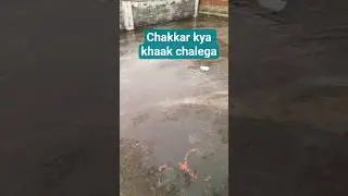 Mera toh net shayari funny