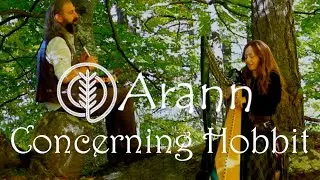 Concerning Hobbit (tema de La Contea) - Il Signore degli Anelli - Arann short
