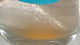 Artimia (LIVE FEED) harvesting in simple method