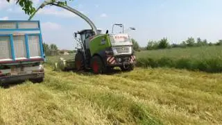 Claas jaguar 960 con direct disc 610