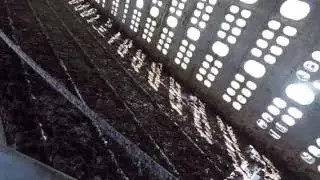 Unloading Cattle