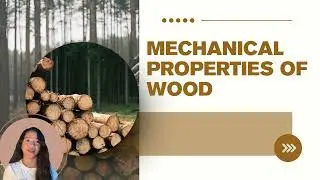 WOOD AND WOOD PRODUCTS - Group 3