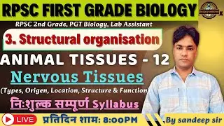 RPSC 1st Grade Biology 2025 | Structural Organization In Animal & Plants | Animal Tissues Part -12