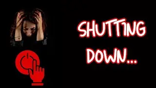 Why You Shut Down When You’re Overwhelmed  The Freeze Response