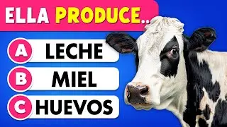 60 Preguntas de Cultura General 🎒📚✅ | ¿Eres más listo que un niño de primaria?