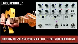 Endorphines + Andrew Huang Ghost Pedal