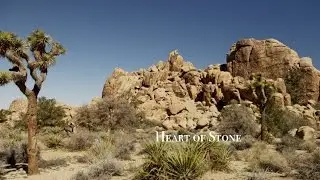 Jason Marsh Band 'Heart of Stone' Clip (Album Trailer 1 &mdash; Try ) 4k