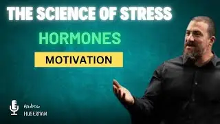 Essentials: Science of Stress, Testosterone, Aggression & Motivation | by Dr. Andrew