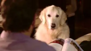 Perillo Tours - Harry and Steve Commercial (Talking Dog) 2013