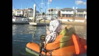 NextGen Bassin: Spotted Fever