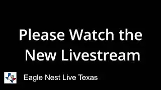 Eagle Nest Live Texas