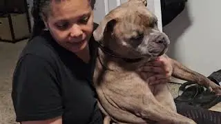 Shadow is giving Courtney the blues again. 🐾💙 #dogsofyoutube #cutedog 