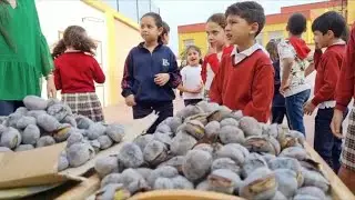 El 'Rosalía de Castro' celebra el tradicional Día de la Mochila