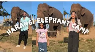 Harangi elephant camp coorg