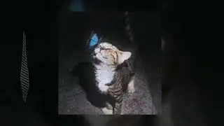 aikko x inspace x katancss type beat 