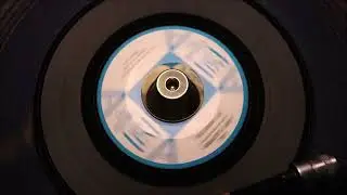 The Rivingtons &lrm;&ndash; All That Glitters   Vee Jay Records &lrm;&ndash; VJ