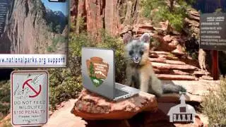 B.A.R.N. Episode 17: Baby Fox sounds the battle cry for our National Parks