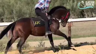 Supido x Dinkum Diamond - Education preparation