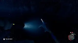 Sons Of The Forest: Shark Cave