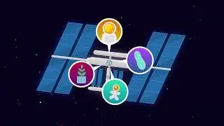 LCRD: Illuminating the Future of Space Communications