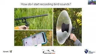 Recording Bird Sounds Part 1 | GBBC 2026