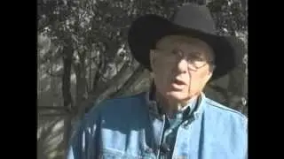 Selecting A Cowhorse Saddle