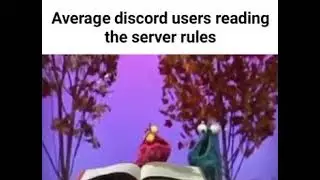 Average discord users reading the server rules.