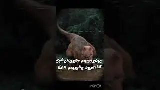 #dinolove #dinosaur #dinofan #jurassicworld #dinosaurus #facts #dinofacts