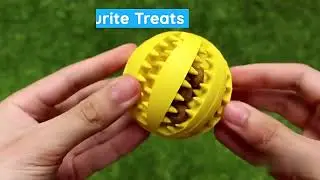 Pet Dog Toy Interactive Rubber Balls for Small Large Dogs Puppy Cat Chewing Toys Pet