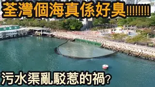 荃灣個海真係好臭!!!!!!!!