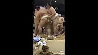 Meme sumo