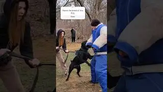 🎯Double ATTACK of the black dog. This is not something to joke about. Dog training. GUARD. Odessa.