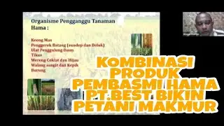 PRODUCT KNOWLEDGE ECO FARMING DAN AGEN HAYATI | WAWAN RUSMAN : PAKAR PERTANIAN TERPADU