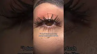 Spider lashes better than their lashes 🕷️✨