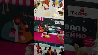 Саратов ТРЦ ТРИУМФ МОЛЛ.Шоу с дрессированными собаками.05.01.2025