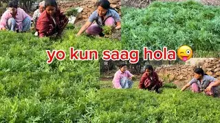 Aaja feri ximeki haru ko kun kun saag tipiyo ta😜