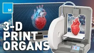 How Scientists Are 3D Bio-Printing Human Organs