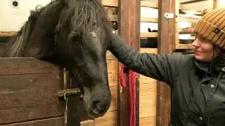 Vehniän Joulupolku